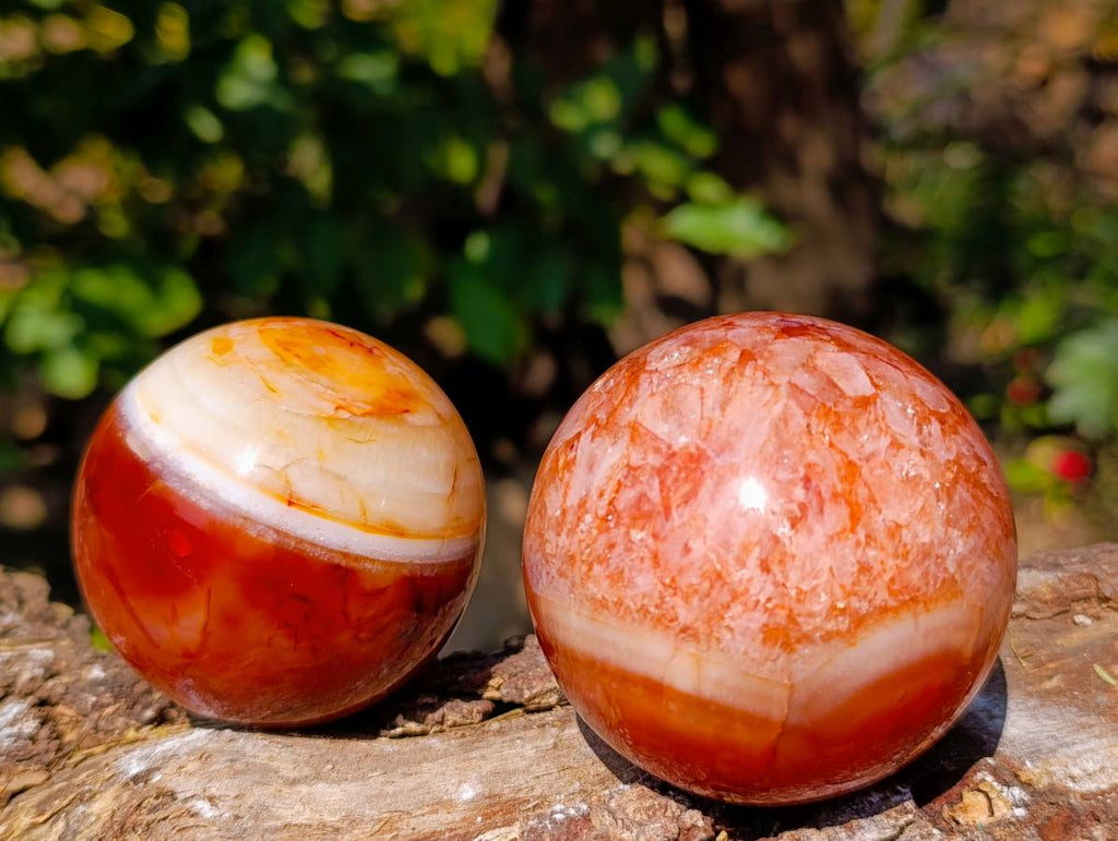 Polished Carnelian Agate Gemstone Spheres x 4 From Madagascar - Toprock Gemstones and Minerals 