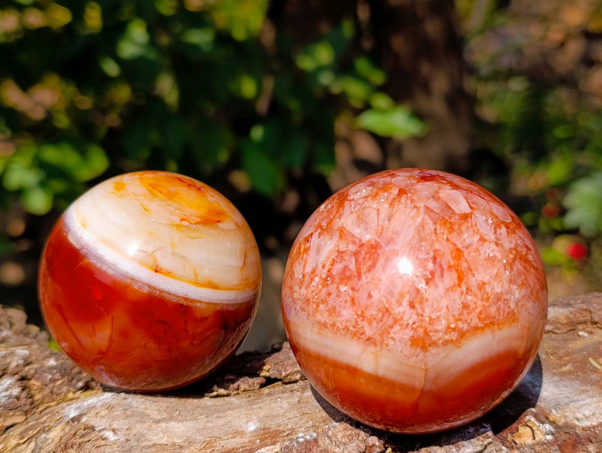 Polished Carnelian Agate Gemstone Spheres x 4 From Madagascar - Toprock Gemstones and Minerals 