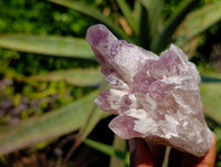 Natural Sugar Amethyst Clusters x 4 From Zambia - Toprock Gemstones and Minerals 