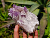 Natural Sugar Amethyst Clusters x 4 From Zambia - Toprock Gemstones and Minerals 