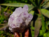 Natural Sugar Amethyst Clusters x 4 From Zambia - Toprock Gemstones and Minerals 