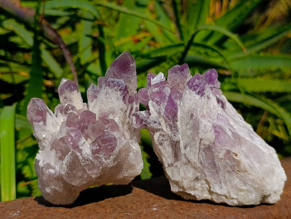 Natural Sugar Amethyst Clusters x 4 From Zambia - Toprock Gemstones and Minerals 