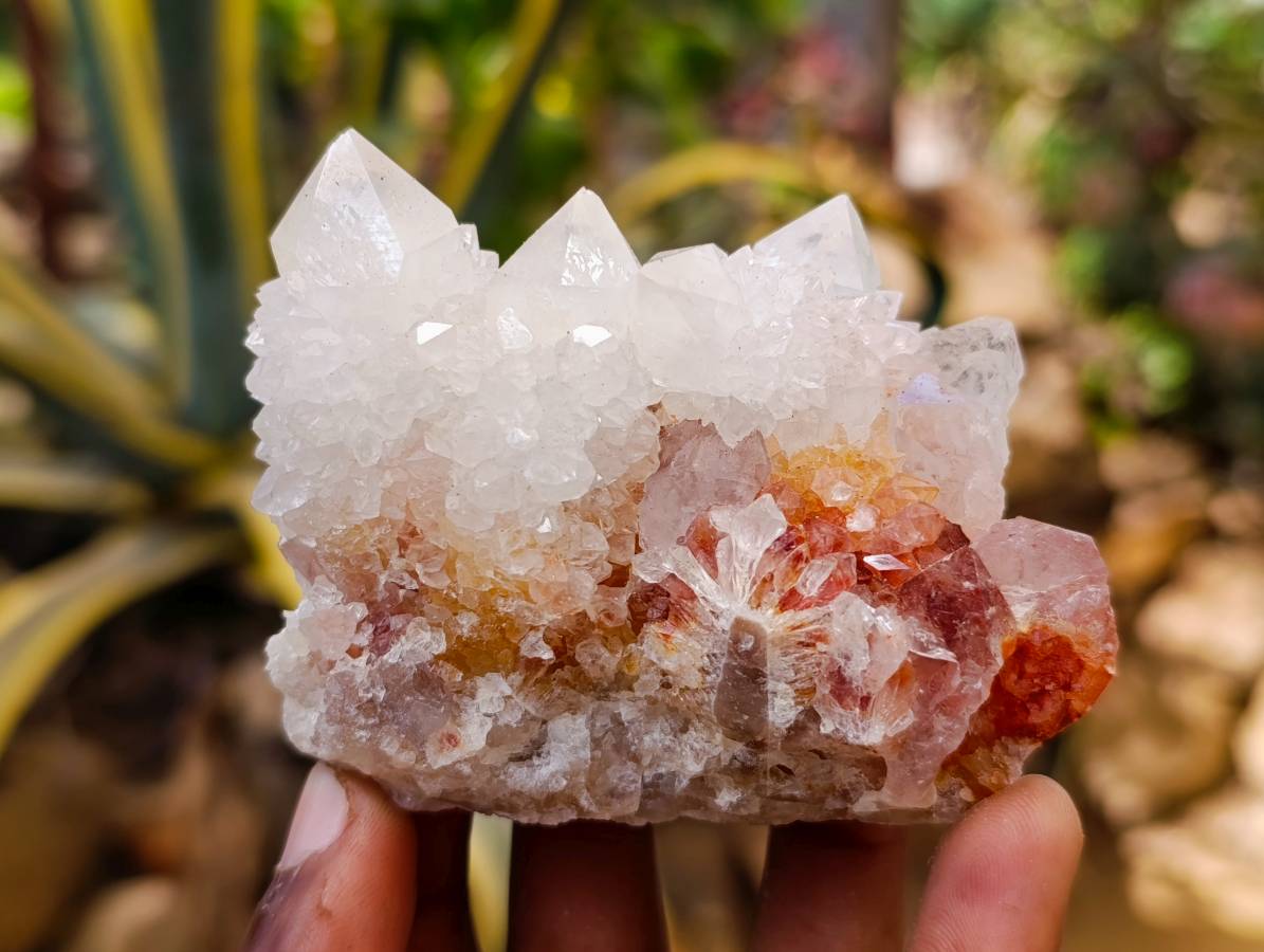 Natural White Spirit Cactus Quartz Specimens x 6 From Boekenhouthoek, South Africa - Toprock Gemstones and Minerals 
