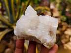 Natural White Spirit Cactus Quartz Specimens x 6 From Boekenhouthoek, South Africa - Toprock Gemstones and Minerals 