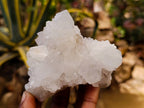 Natural White Spirit Cactus Quartz Specimens x 6 From Boekenhouthoek, South Africa - Toprock Gemstones and Minerals 