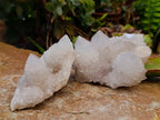 Natural White Spirit Cactus Quartz Specimens x 6 From Boekenhouthoek, South Africa - Toprock Gemstones and Minerals 