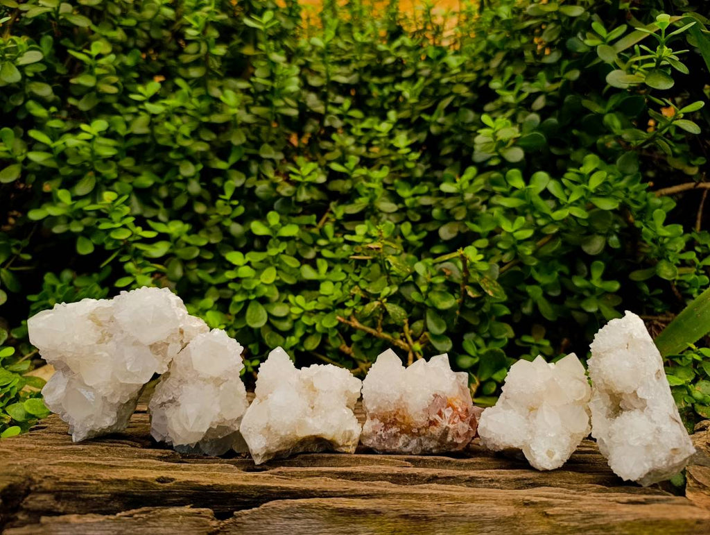 Natural White Spirit Cactus Quartz Specimens x 6 From Boekenhouthoek, South Africa - Toprock Gemstones and Minerals 