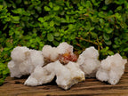Natural White Spirit Cactus Quartz Specimens x 6 From Boekenhouthoek, South Africa - Toprock Gemstones and Minerals 