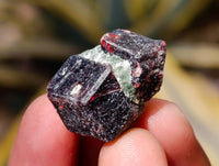 Natural Red And Brown Fully Formed Dodecagon Pyrope Garnet Crystals x 279 From Zimbabwe - Toprock Gemstones and Minerals 