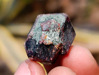 Natural Red And Brown Fully Formed Dodecagon Pyrope Garnet Crystals x 279 From Zimbabwe - Toprock Gemstones and Minerals 