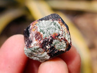 Natural Red And Brown Fully Formed Dodecagon Pyrope Garnet Crystals x 279 From Zimbabwe - Toprock Gemstones and Minerals 