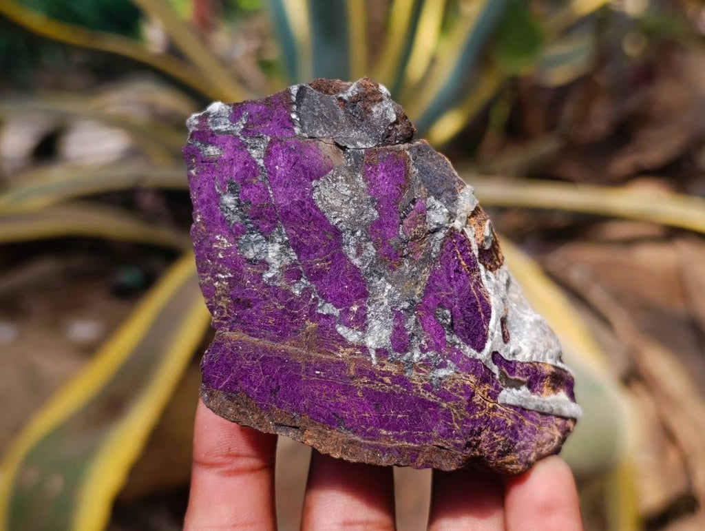 Natural Metallic Purpurite Specimens x 6 From Erongo, Namibia - Toprock Gemstones and Minerals 