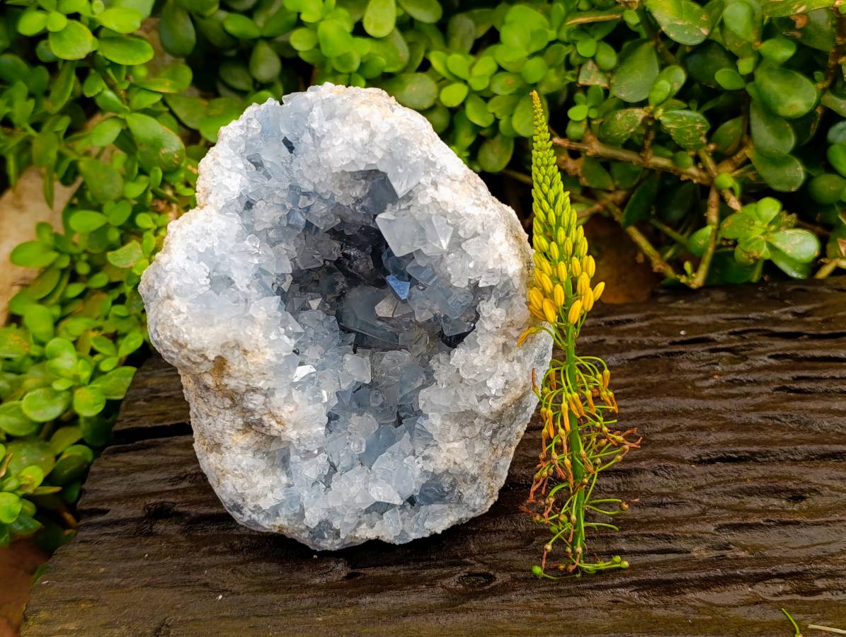 Natural Blue Celestite Crystal Specimen x 1 From Sakoany, Madagascar - Toprock Gemstones and Minerals 