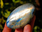 Polished Labradorite Palm Stones x 12 From Tulear, Madagascar - Toprock Gemstones and Minerals 