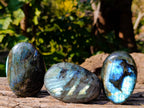 Polished Labradorite Palm Stones x 12 From Tulear, Madagascar - Toprock Gemstones and Minerals 