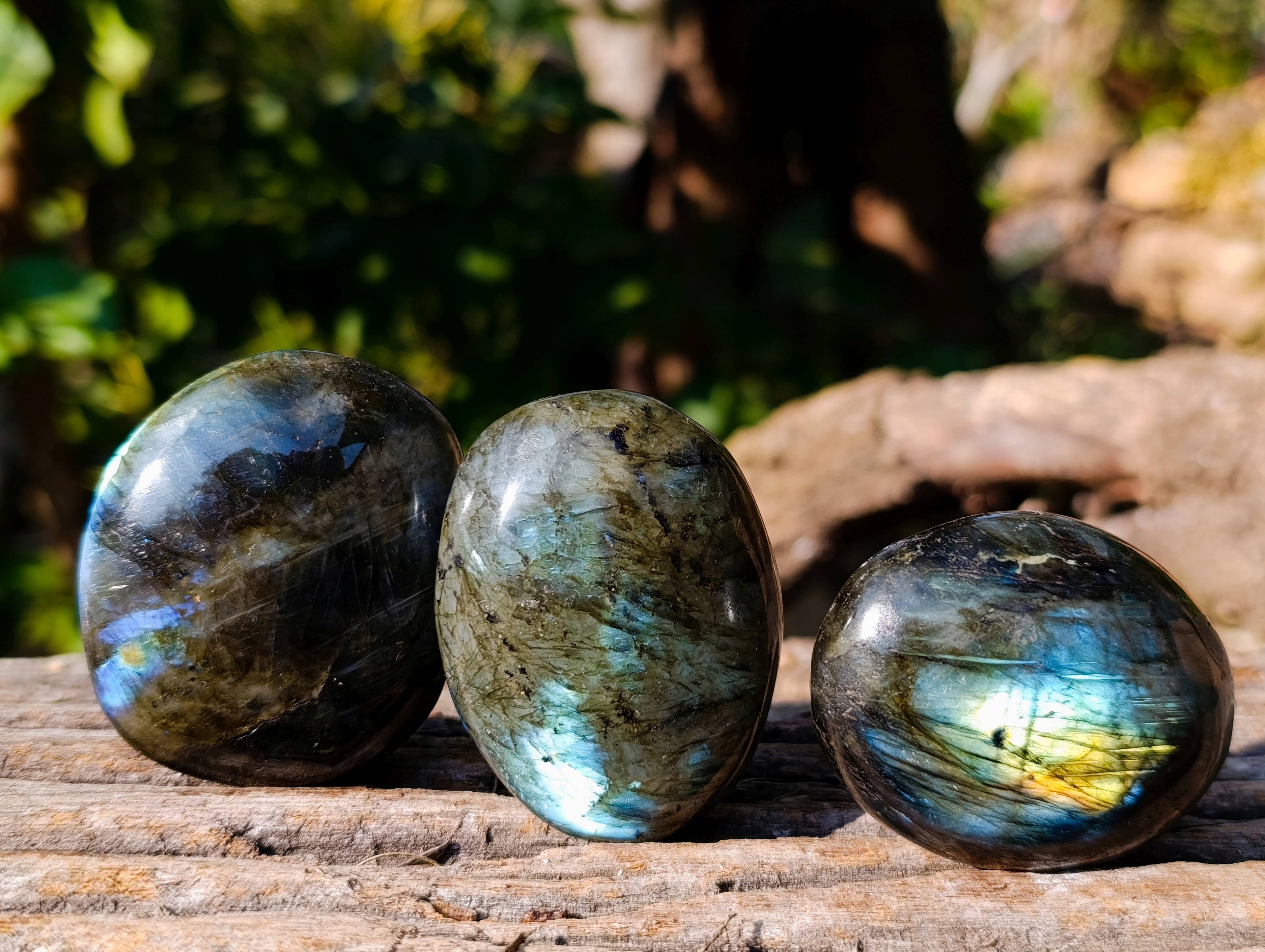 Polished Labradorite Palm Stones x 12 From Tulear, Madagascar - Toprock Gemstones and Minerals 