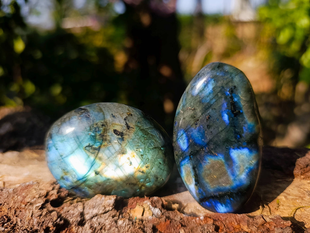 Polished Labradorite Palm Stones x 12 From Tulear, Madagascar - Toprock Gemstones and Minerals 