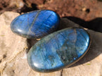 Polished Labradorite Palm Stones x 12 From Tulear, Madagascar - Toprock Gemstones and Minerals 