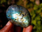 Polished Labradorite Palm Stones x 12 From Tulear, Madagascar - Toprock Gemstones and Minerals 