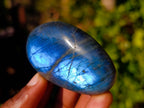 Polished Labradorite Palm Stones x 12 From Tulear, Madagascar - Toprock Gemstones and Minerals 