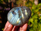 Polished Labradorite Palm Stones x 12 From Tulear, Madagascar - Toprock Gemstones and Minerals 