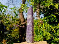 Polished Lepidolite With Pink Rubellite Tower x 1 From Ambatondrazaka, Madagascar - Toprock Gemstones and Minerals 
