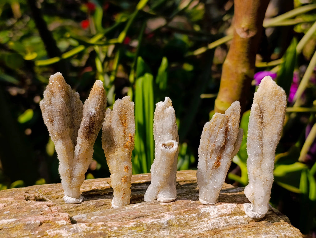 Natural Drusy Quartz Coated Calcite Pseudomorph Specimens x 35 From Alberts Mountain, Lesotho - Toprock Gemstones and Minerals 