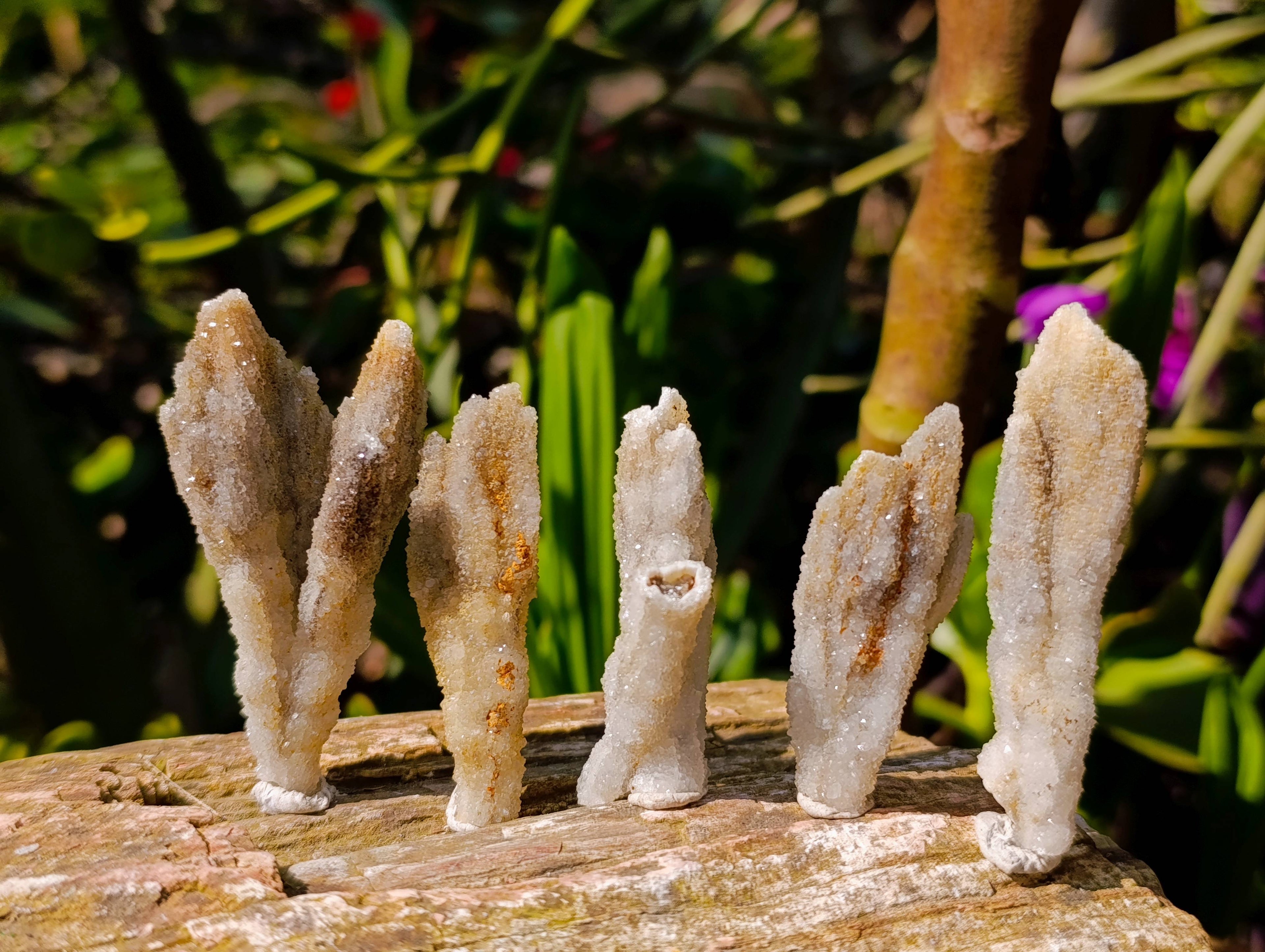 Natural Drusy Quartz Coated Calcite Pseudomorph Specimens x 35 From Alberts Mountain, Lesotho - Toprock Gemstones and Minerals 