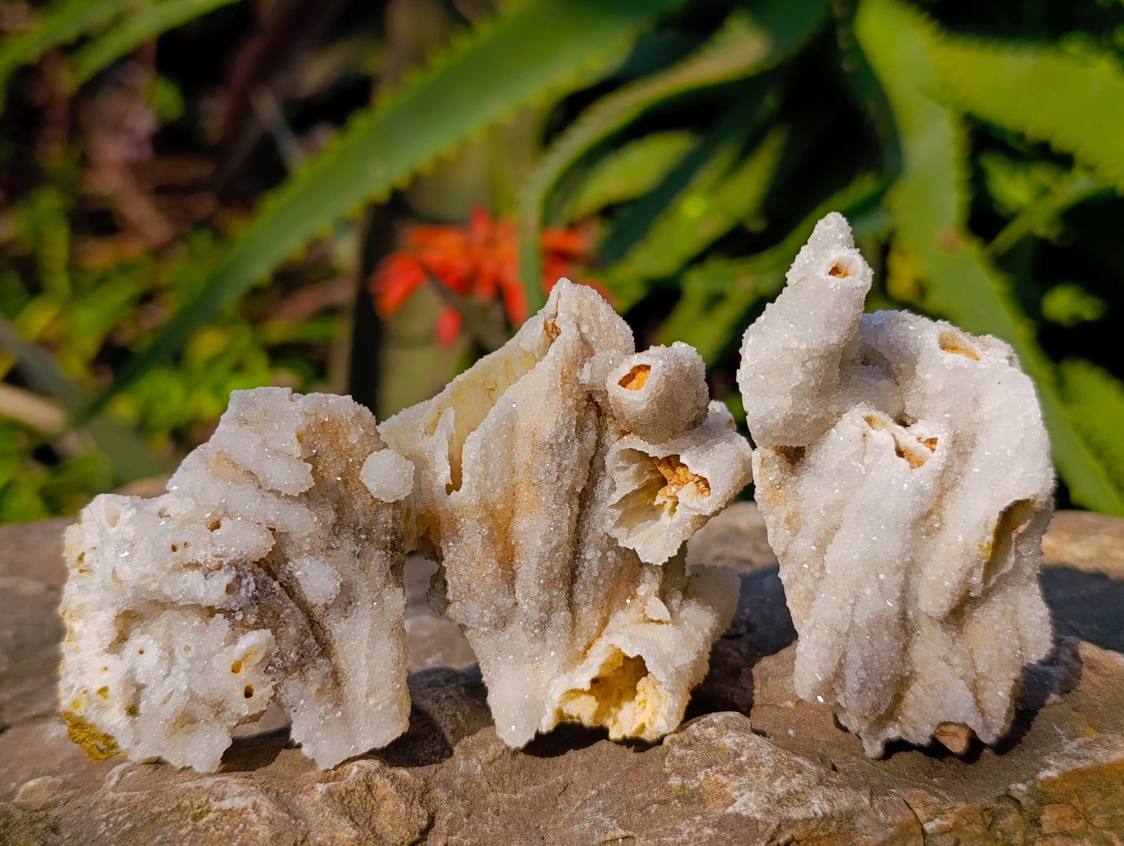Natural Drusy Quartz Coated Calcite Pseudomorph Specimens x 35 From Alberts Mountain, Lesotho - Toprock Gemstones and Minerals 