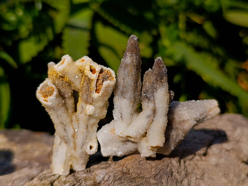 Natural Drusy Quartz Coated Calcite Pseudomorph Specimens x 35 From Alberts Mountain, Lesotho - Toprock Gemstones and Minerals 