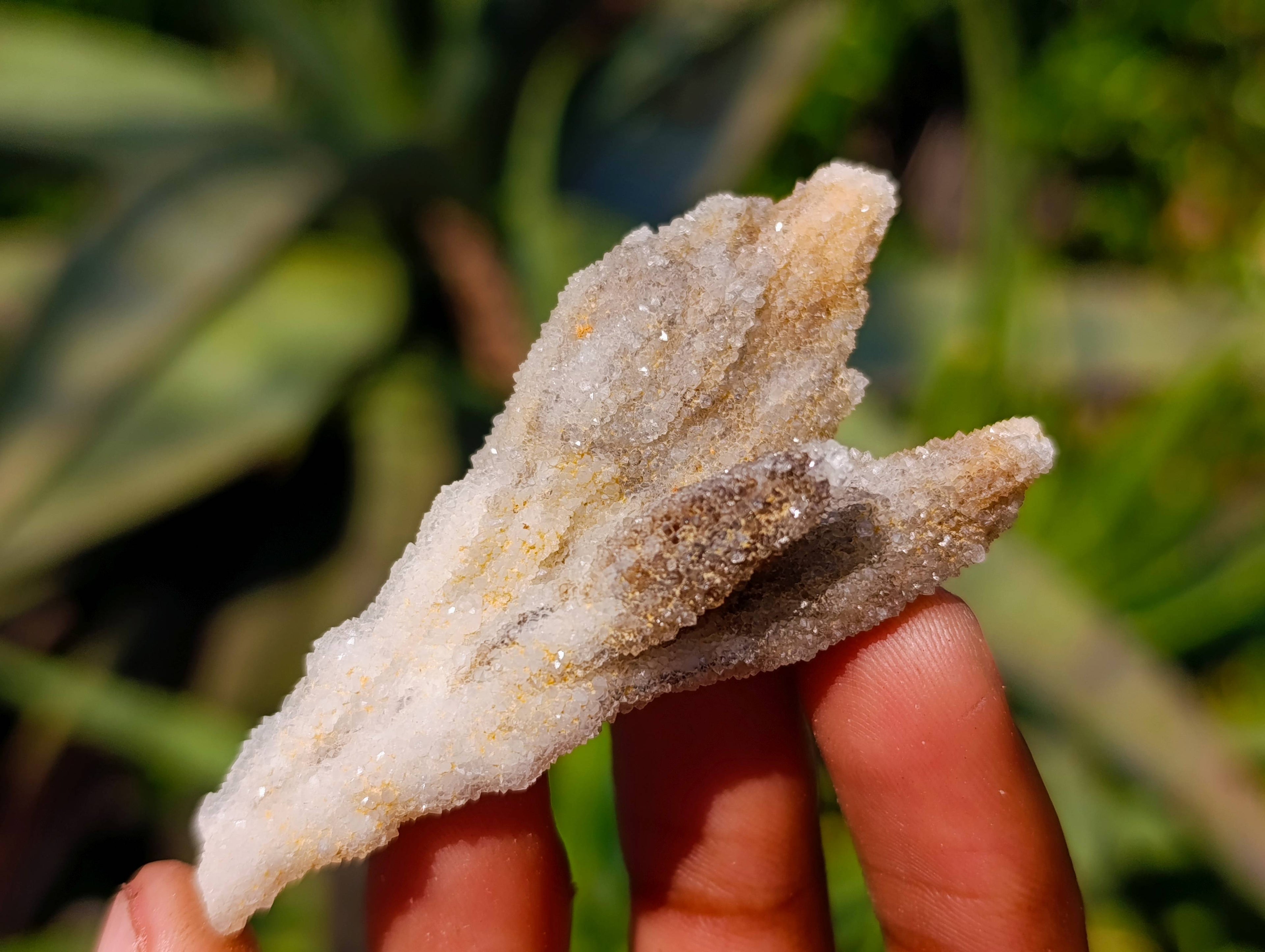 Natural Drusy Quartz Coated Calcite Pseudomorph Specimens x 35 From Alberts Mountain, Lesotho - Toprock Gemstones and Minerals 