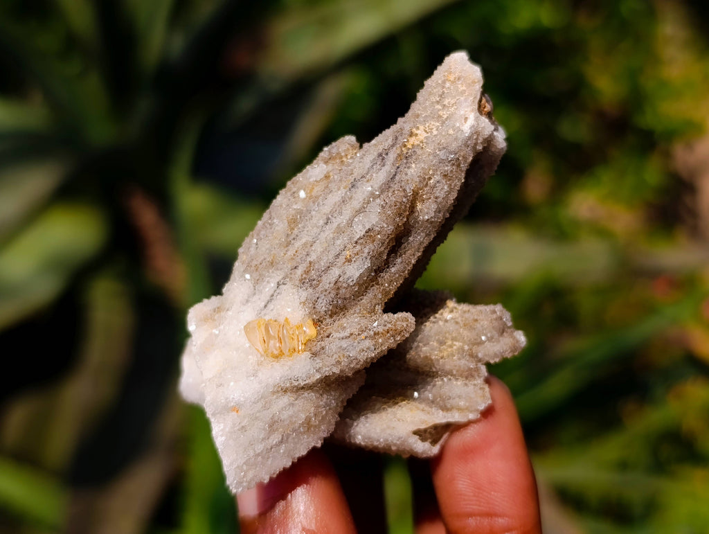 Natural Drusy Quartz Coated Calcite Pseudomorph Specimens x 35 From Alberts Mountain, Lesotho - Toprock Gemstones and Minerals 