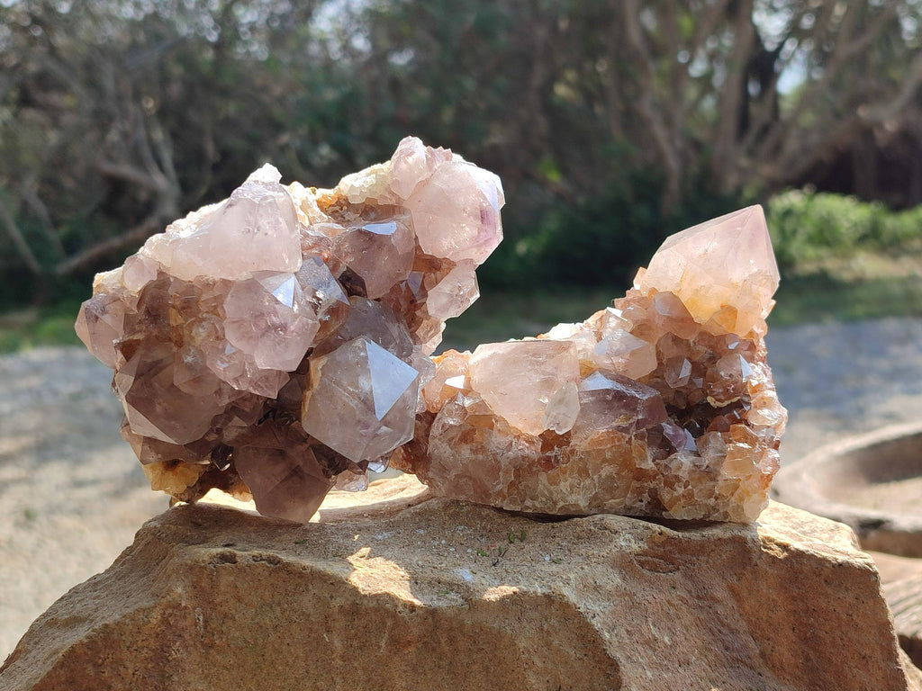 Natural Amethyst Spirit Quartz Clusters x 2 From Boekenhouthoek, South Africa - Toprock Gemstones and Minerals 