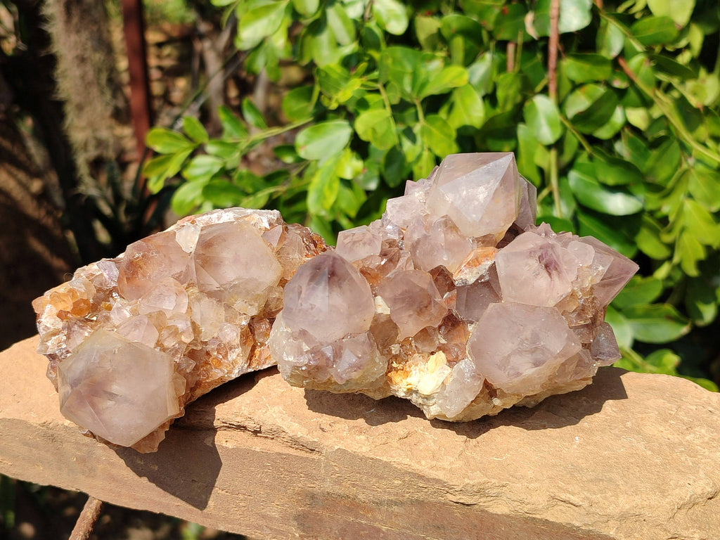Natural Amethyst Spirit Quartz Clusters x 2 From Boekenhouthoek, South Africa - Toprock Gemstones and Minerals 