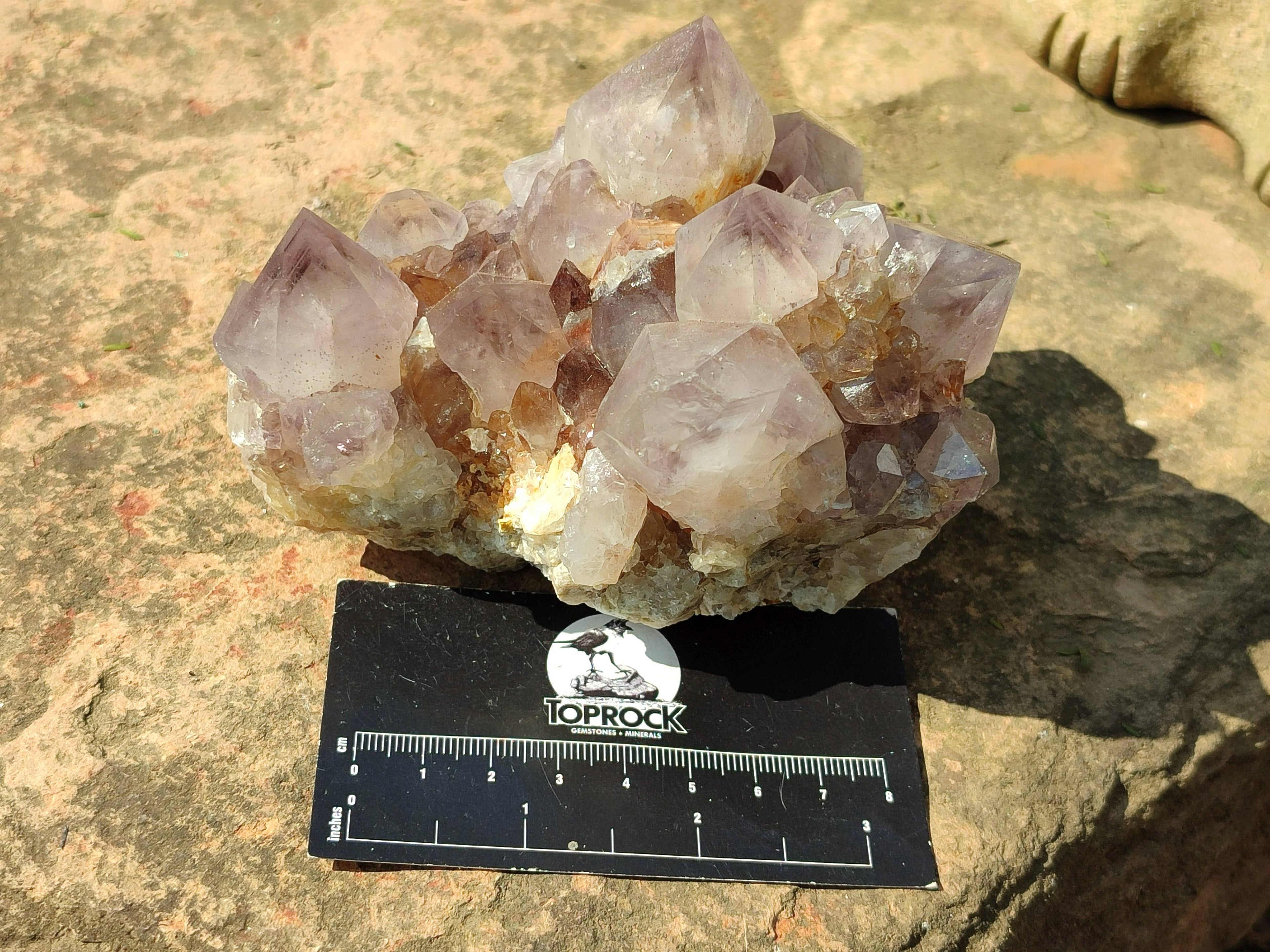 Natural Amethyst Spirit Quartz Clusters x 2 From Boekenhouthoek, South Africa - Toprock Gemstones and Minerals 