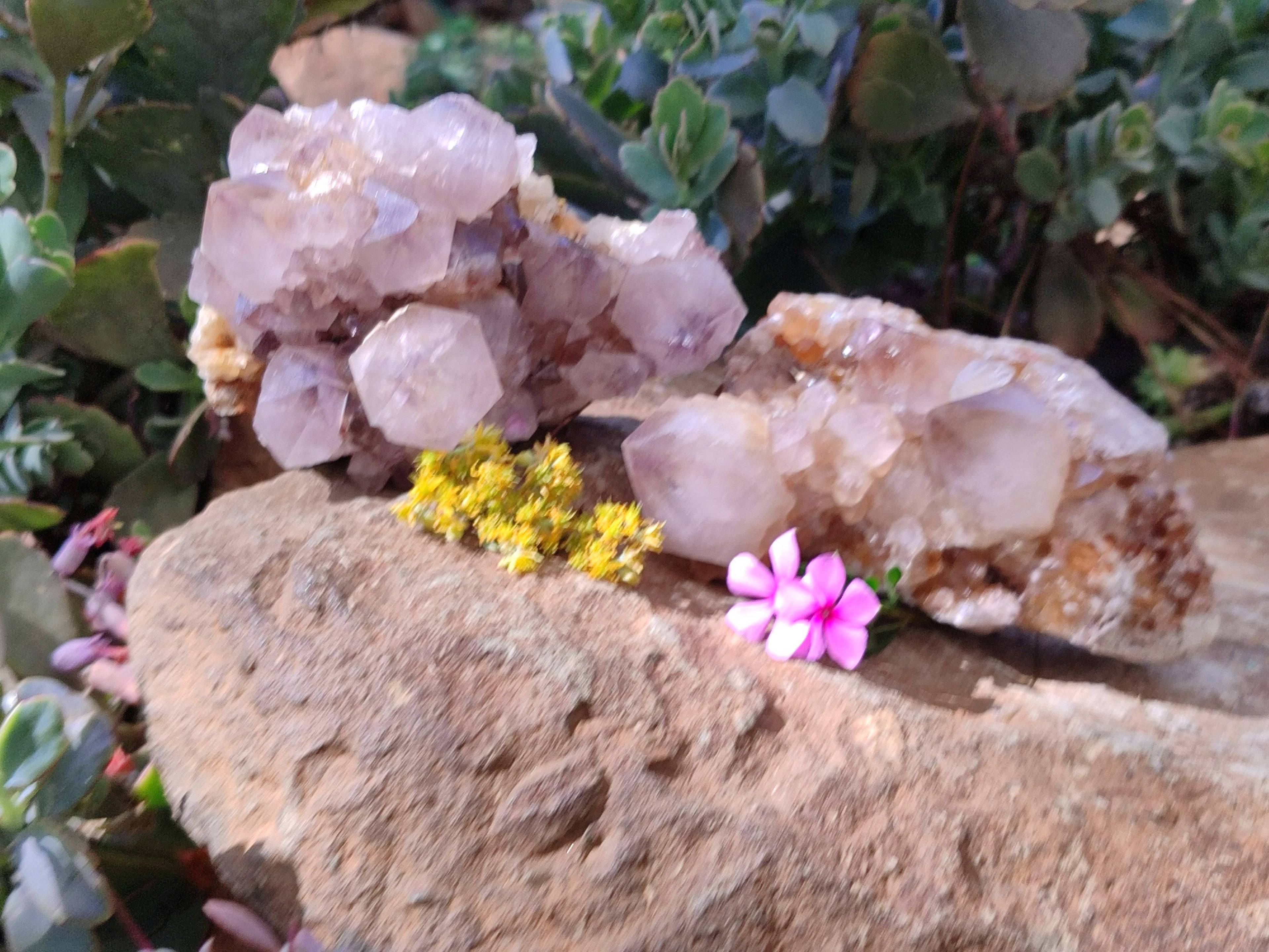 Natural Amethyst Spirit Quartz Clusters x 2 From Boekenhouthoek, South Africa - Toprock Gemstones and Minerals 