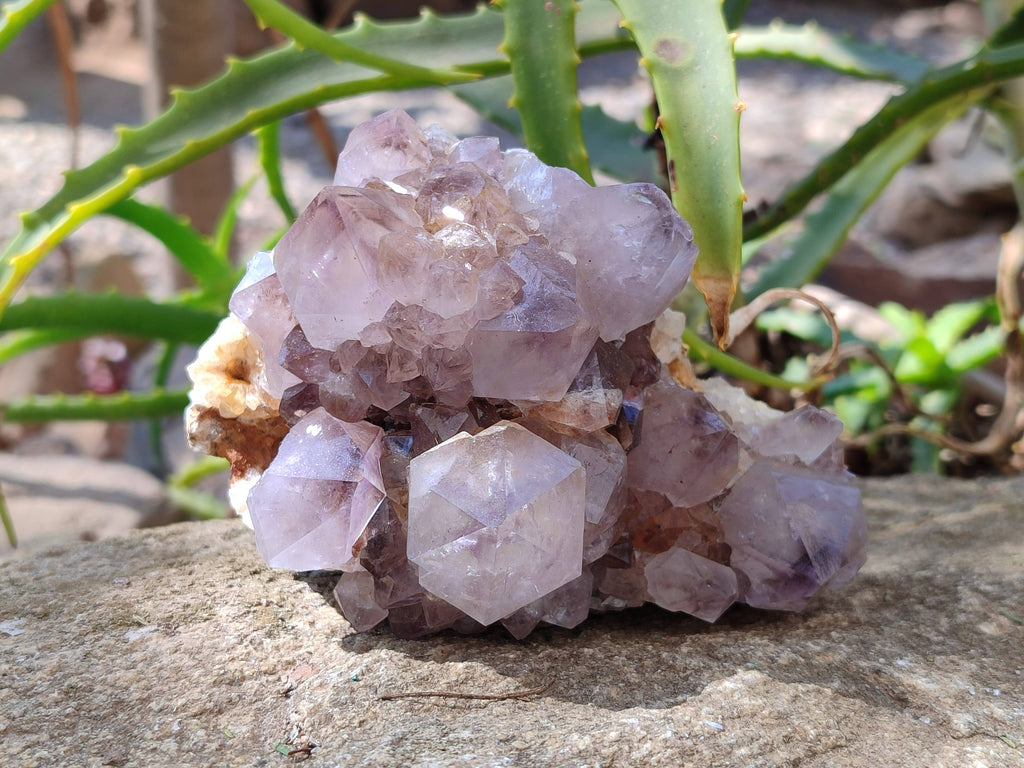 Natural Amethyst Spirit Quartz Clusters x 2 From Boekenhouthoek, South Africa - Toprock Gemstones and Minerals 