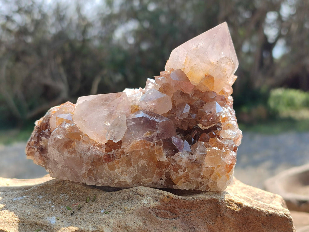 Natural Amethyst Spirit Quartz Clusters x 2 From Boekenhouthoek, South Africa - Toprock Gemstones and Minerals 