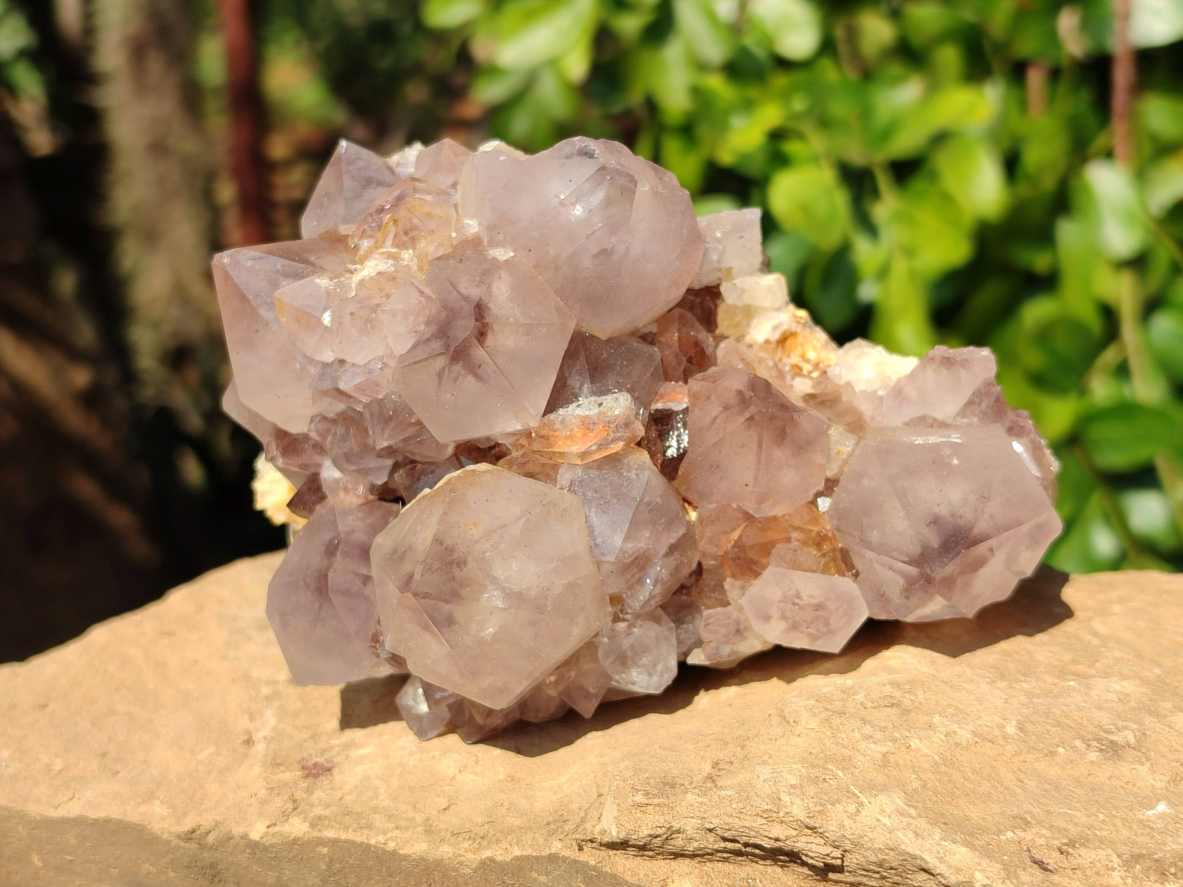 Natural Amethyst Spirit Quartz Clusters x 2 From Boekenhouthoek, South Africa - Toprock Gemstones and Minerals 