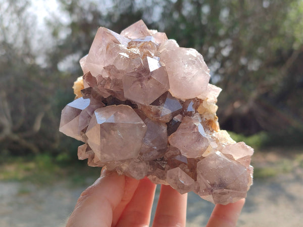 Natural Amethyst Spirit Quartz Clusters x 2 From Boekenhouthoek, South Africa