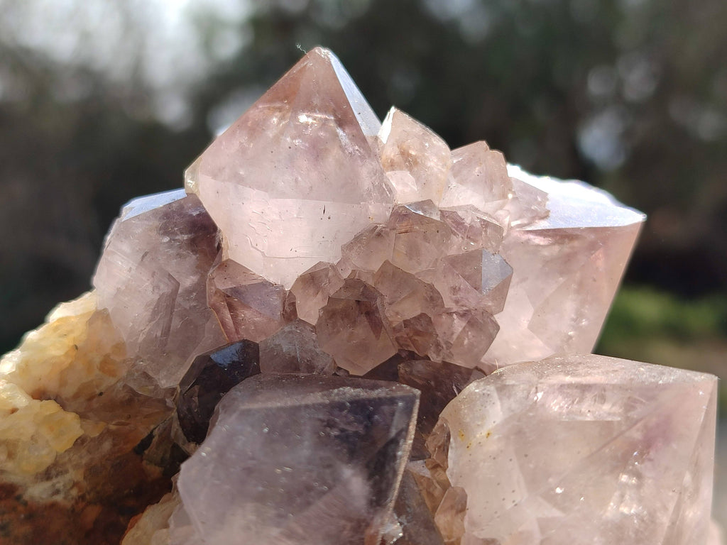 Natural Amethyst Spirit Quartz Clusters x 2 From Boekenhouthoek, South Africa - Toprock Gemstones and Minerals 