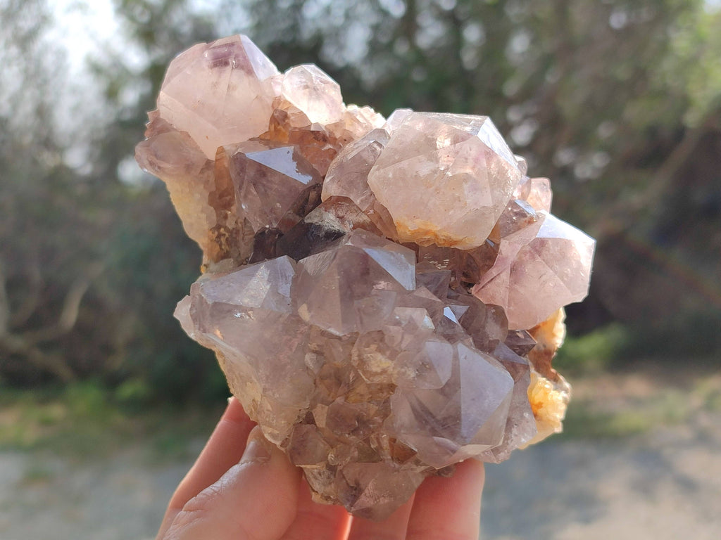 Natural Amethyst Spirit Quartz Clusters x 2 From Boekenhouthoek, South Africa - Toprock Gemstones and Minerals 
