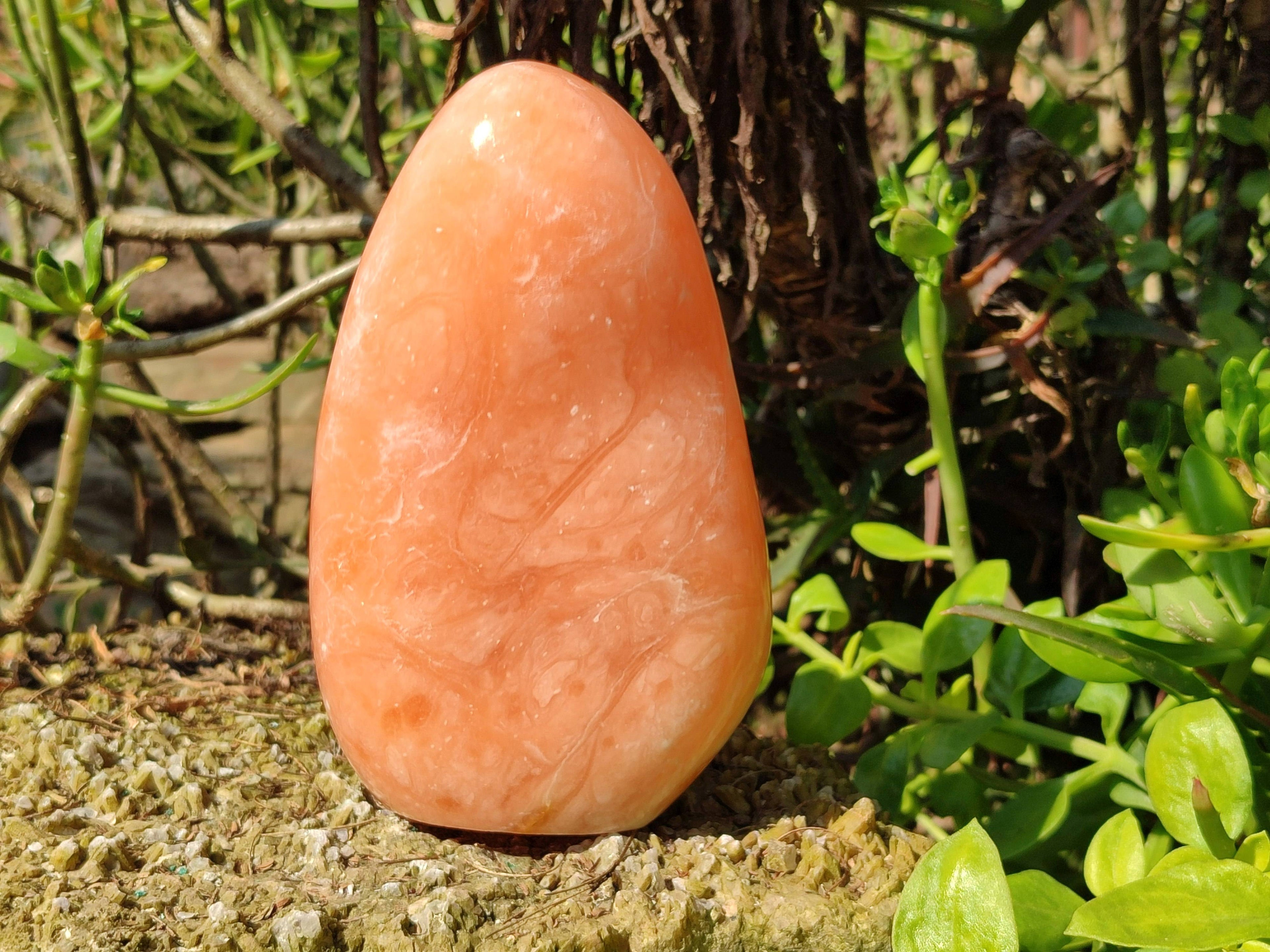 Polished Orange Twist Calcite Standing Free Forms x 1 From Madagascar - Toprock Gemstones and Minerals 