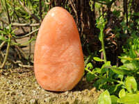 Polished Orange Twist Calcite Standing Free Forms x 1 From Madagascar