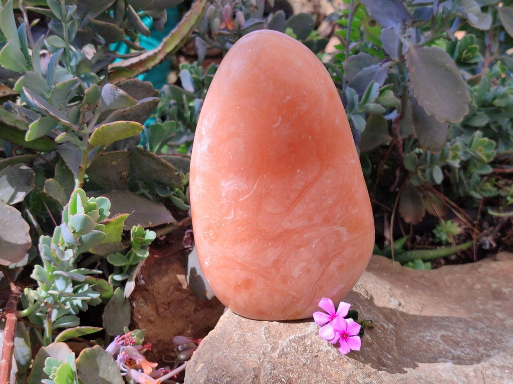 Polished Orange Twist Calcite Standing Free Forms x 1 From Madagascar - Toprock Gemstones and Minerals 