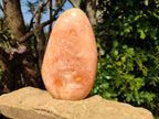 Polished Orange Twist Calcite Standing Free Forms x 1 From Madagascar - Toprock Gemstones and Minerals 