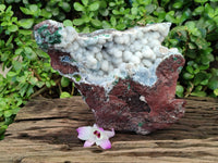 Natural Drusy And Malachite On Dolomite Matrix Specimens x 1 From Kambove, Congo