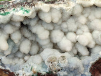 Natural Drusy And Malachite On Dolomite Matrix Specimens x 1 From Kambove, Congo