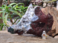 Natural Drusy And Malachite On Dolomite Matrix Specimens x 1 From Kambove, Congo