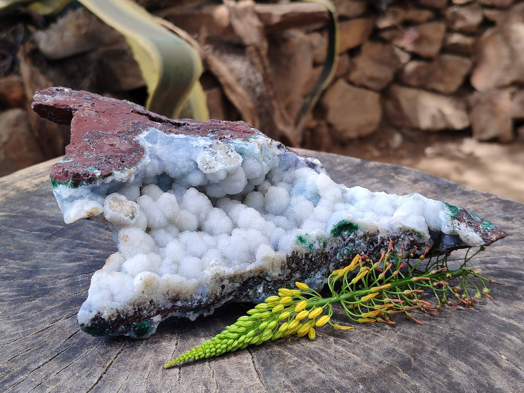Natural Drusy And Malachite On Dolomite Matrix Specimens x 1 From Kambove, Congo - Toprock Gemstones and Minerals 